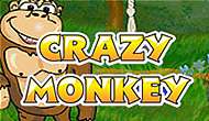 игровые автоматы Crazy Monkey играть