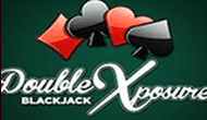 Игровые автоматы Double Exposure Blackjack Pro Series