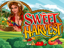 Sweet Harvest (Microgaming) – хороший вариант для азартного отдыха