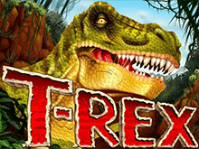 Правила и бонусы игрового аппарата T-Rex